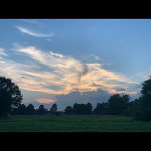 Meet your Posher, Jamaica